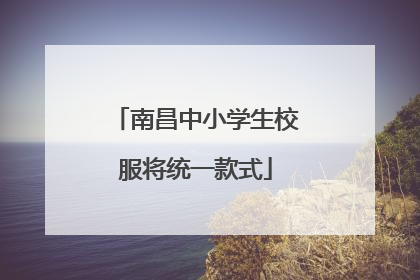南昌中小学生校服将统一款式
