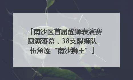 南沙区首届醒狮表演赛圆满落幕，38支醒狮队伍角逐“南沙狮王”
