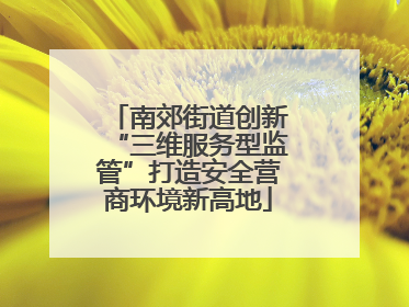 南郊街道创新“三维服务型监管”打造安全营商环境新高地