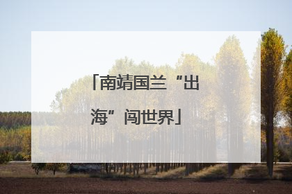 南靖国兰“出海”闯世界