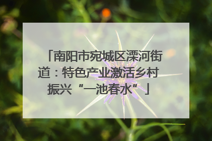 南阳市宛城区溧河街道：特色产业激活乡村振兴“一池春水”