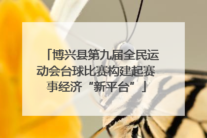 博兴县第九届全民运动会台球比赛构建起赛事经济“新平台”