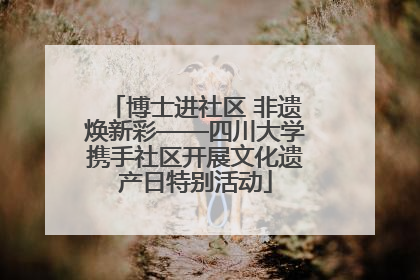 博士进社区 非遗焕新彩——四川大学携手社区开展文化遗产日特别活动