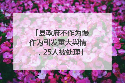 县政府不作为慢作为引发重大舆情，25人被处理