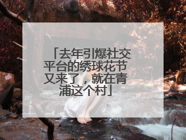 去年引爆社交平台的绣球花节又来了，就在青浦这个村
