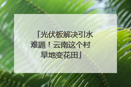 光伏板解决引水难题！云南这个村旱地变花田