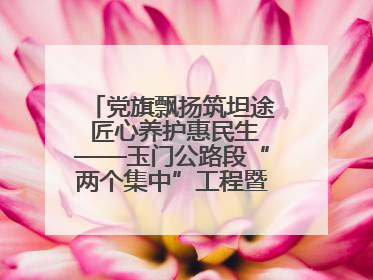 党旗飘扬筑坦途 匠心养护惠民生——玉门公路段“两个集中”工程暨示范桥创建项目圆满收官