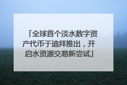 全球首个淡水数字资产代币于迪拜推出，开启水资源交易新尝试