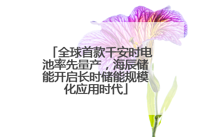 全球首款千安时电池率先量产，海辰储能开启长时储能规模化应用时代