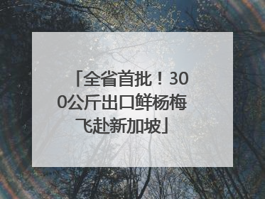 全省首批！300公斤出口鲜杨梅飞赴新加坡