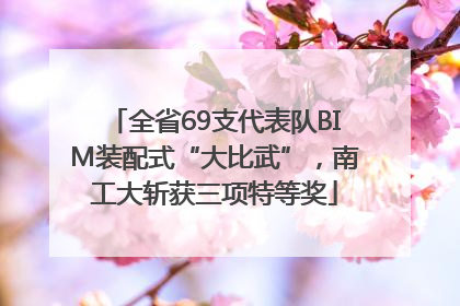 全省69支代表队BIM装配式“大比武”，南工大斩获三项特等奖
