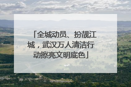 全城动员、扮靓江城，武汉万人清洁行动擦亮文明底色