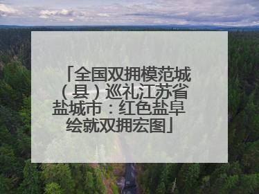 全国双拥模范城（县）巡礼江苏省盐城市：红色盐阜绘就双拥宏图