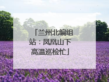 兰州北编组站：凤凰山下高温巡检忙