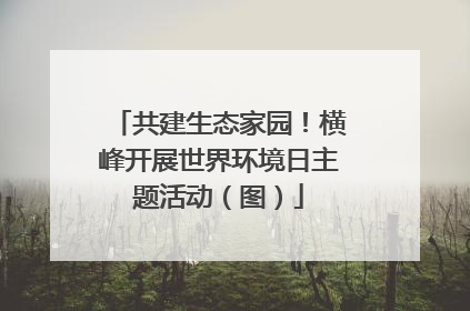 共建生态家园！横峰开展世界环境日主题活动（图）