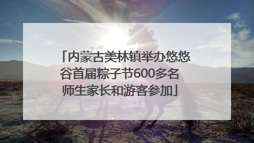 内蒙古美林镇举办悠悠谷首届粽子节600多名师生家长和游客参加