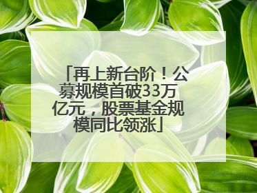 再上新台阶！公募规模首破33万亿元，股票基金规模同比领涨