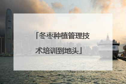 冬枣种植管理技术培训到地头