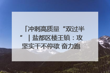 冲刺高质量“双过半”｜盐都区楼王镇：攻坚实干不停歇 奋力跑赢“上半场”