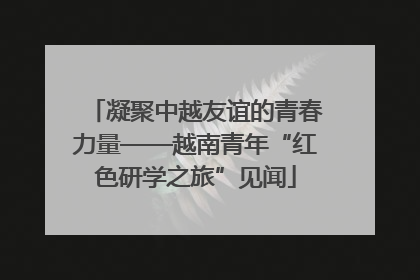 凝聚中越友谊的青春力量——越南青年“红色研学之旅”见闻