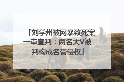 刘学州被网暴致死案一审宣判：两名大V被判构成名誉侵权