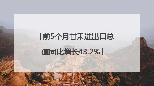 前5个月甘肃进出口总值同比增长43.2%
