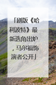剧版《哈利波特》最新选角出炉，马尔福饰演者公开