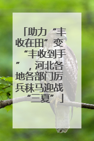 助力“丰收在田”变“丰收到手”，河北各地各部门厉兵秣马迎战“三夏”