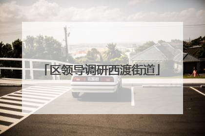 区领导调研西渡街道