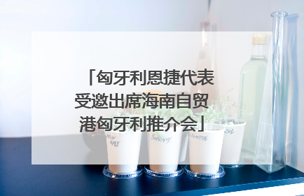 匈牙利恩捷代表受邀出席海南自贸港匈牙利推介会