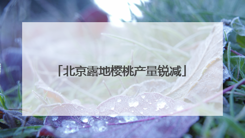 北京露地樱桃产量锐减