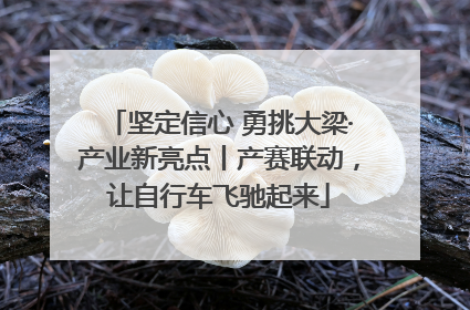 坚定信心 勇挑大梁·产业新亮点丨产赛联动，让自行车飞驰起来