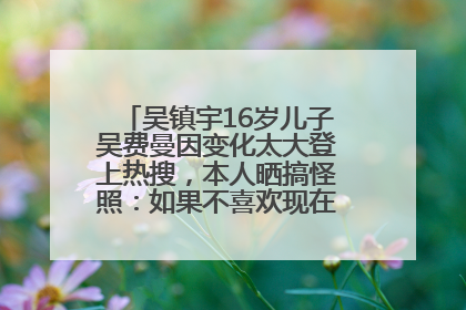 吴镇宇16岁儿子吴费曼因变化太大登上热搜，本人晒搞怪照：如果不喜欢现在的我可以离开
