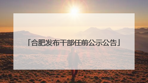 合肥发布干部任前公示公告