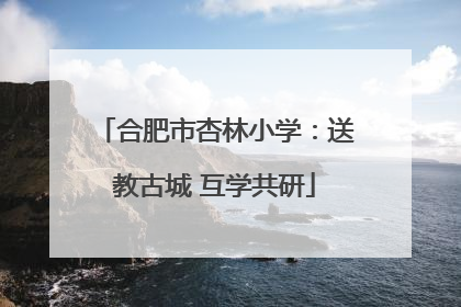 合肥市杏林小学：送教古城 互学共研