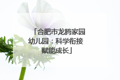 合肥市龙腾家园幼儿园：科学衔接 赋能成长