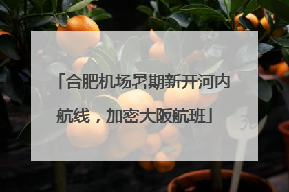 合肥机场暑期新开河内航线，加密大阪航班