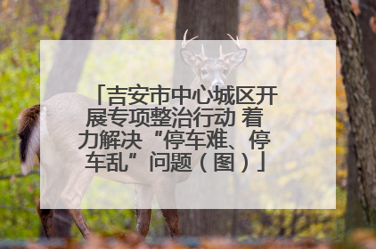 吉安市中心城区开展专项整治行动 着力解决“停车难、停车乱”问题（图）