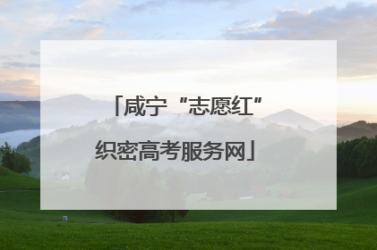 咸宁“志愿红”织密高考服务网