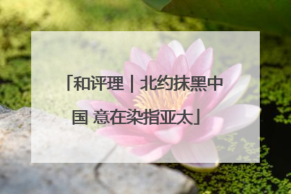 和评理｜北约抹黑中国 意在染指亚太