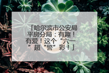 哈尔滨市公安局平房分局：有趣！有爱！这个“六一”超“警”彩！