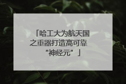 哈工大为航天国之重器打造高可靠“神经元”