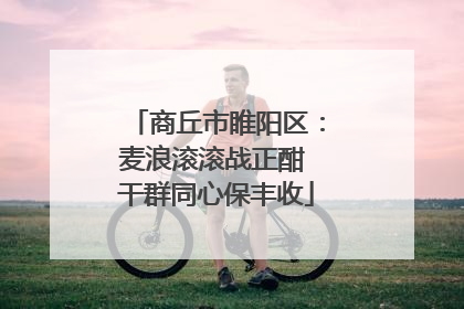 商丘市睢阳区：麦浪滚滚战正酣 干群同心保丰收
