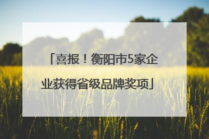 喜报！衡阳市5家企业获得省级品牌奖项