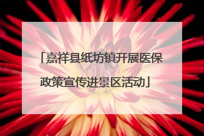 嘉祥县纸坊镇开展医保政策宣传进景区活动