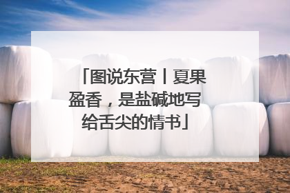 图说东营丨夏果盈香,是盐碱地写给舌尖的情书