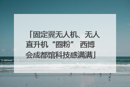 固定翼无人机、无人直升机“圈粉” 西博会成都馆科技感满满