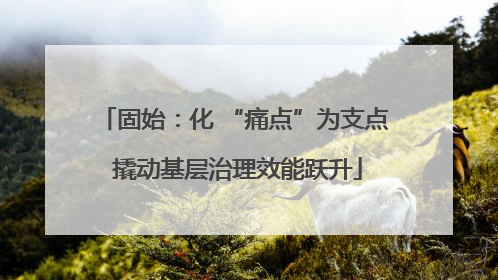 固始：化 “痛点”为支点 撬动基层治理效能跃升