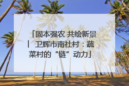 固本强农 共绘新景 ︳卫辉市南社村：蔬菜村的“链”动力