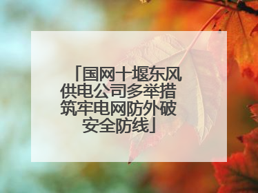 国网十堰东风供电公司多举措筑牢电网防外破安全防线
